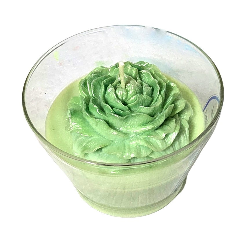 Coconut Soleil Scented Candle - 16 oz